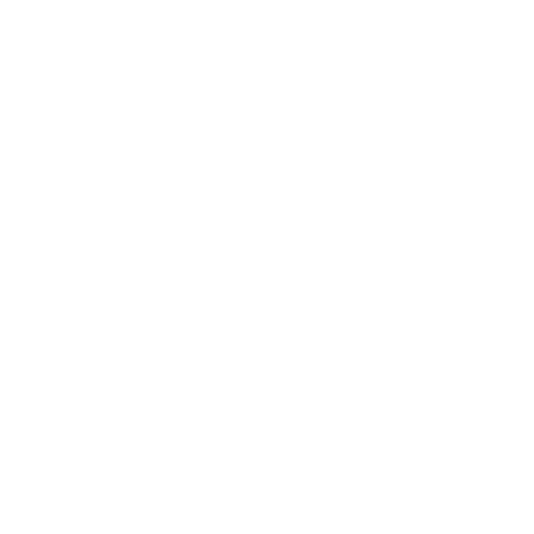 MASTRICAMICIA